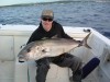 french amberjack 28 kilos